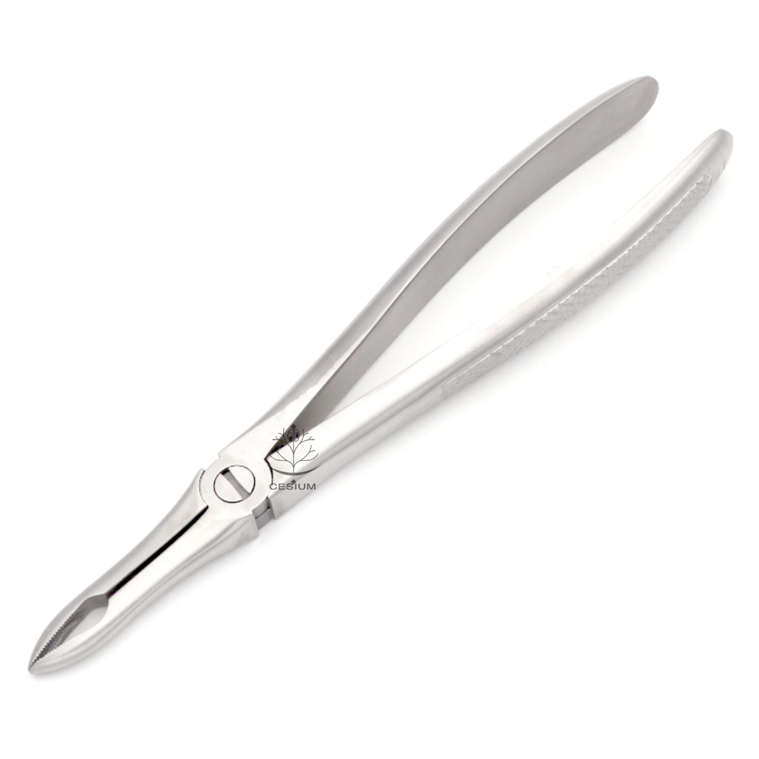41 Extraction Forcep