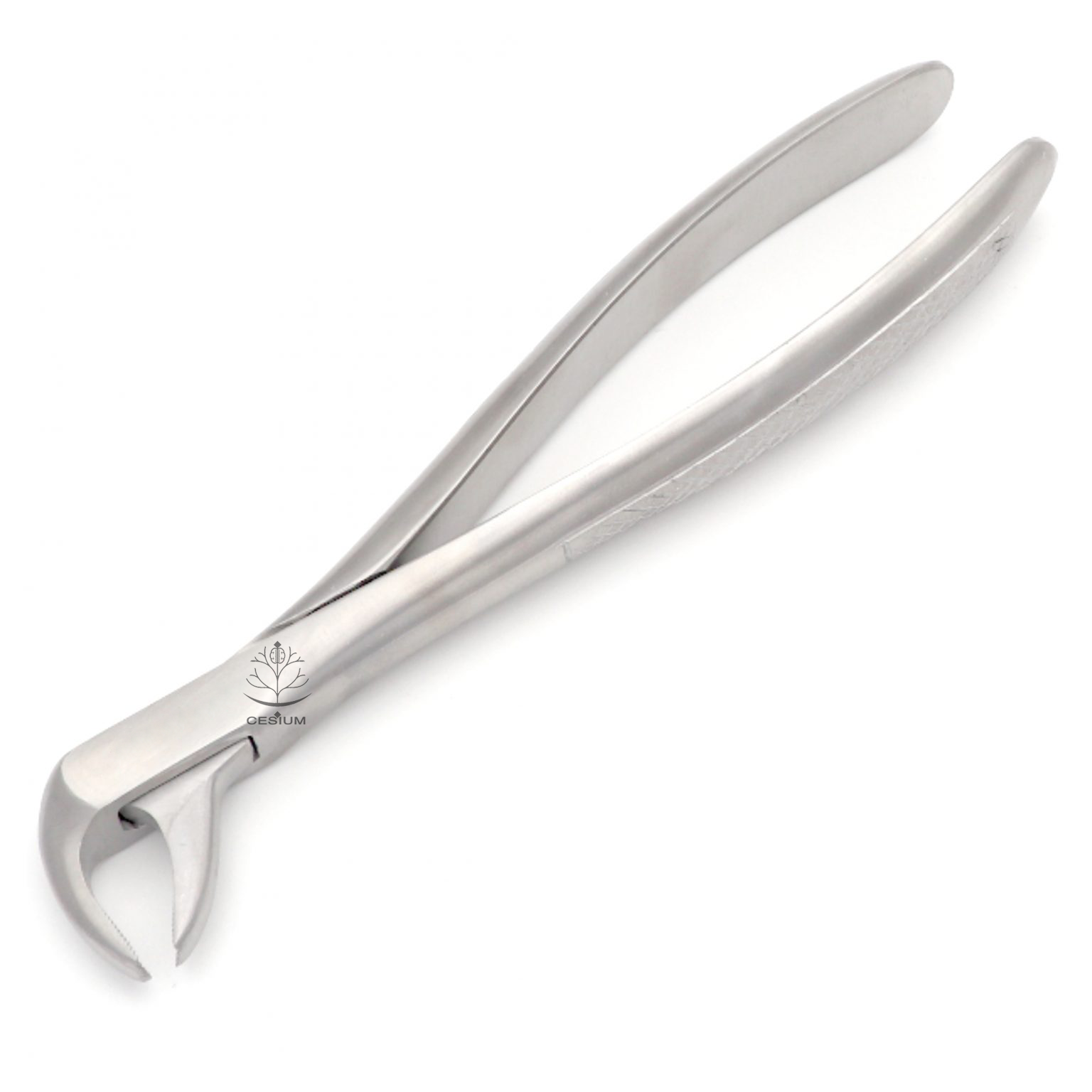 73 Extraction Forcep